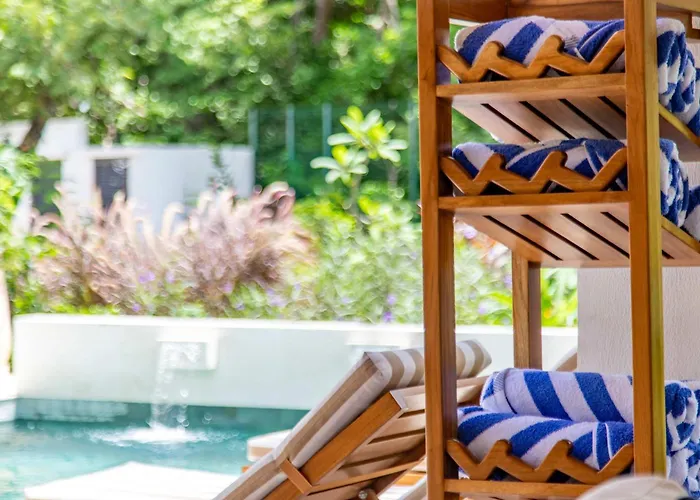 Indigo Coastal -- 3-- 6br Private -- Pool Jungle Blue Zone Living Playa Guiones Nosara